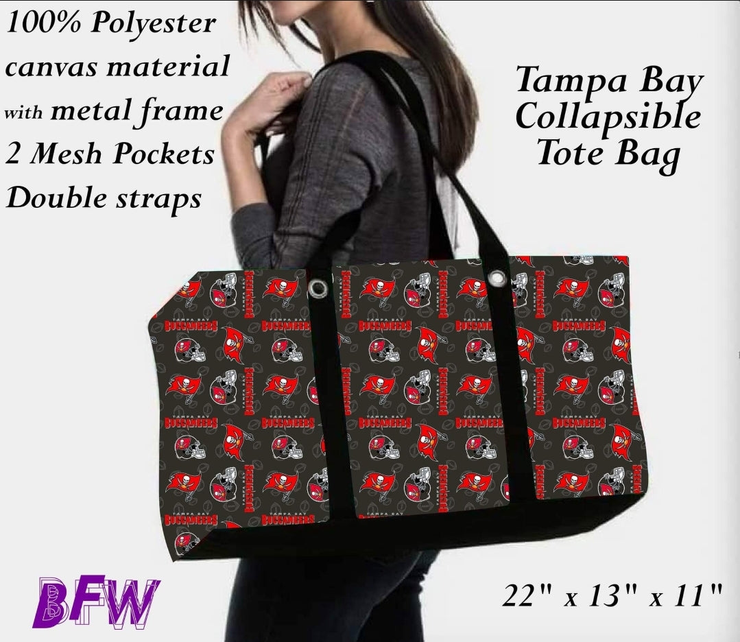Tampa tote and 2 inside mesh pockets