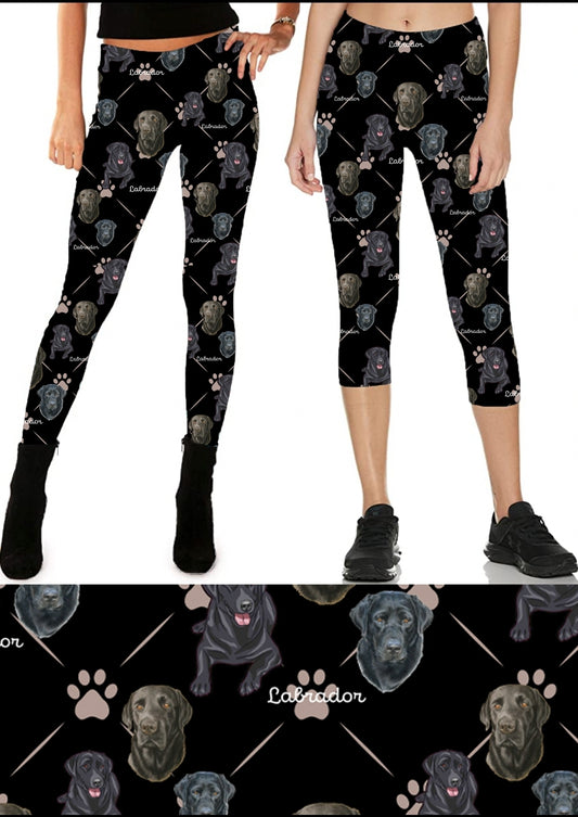 Labrador Leggings,Capris and Joggers