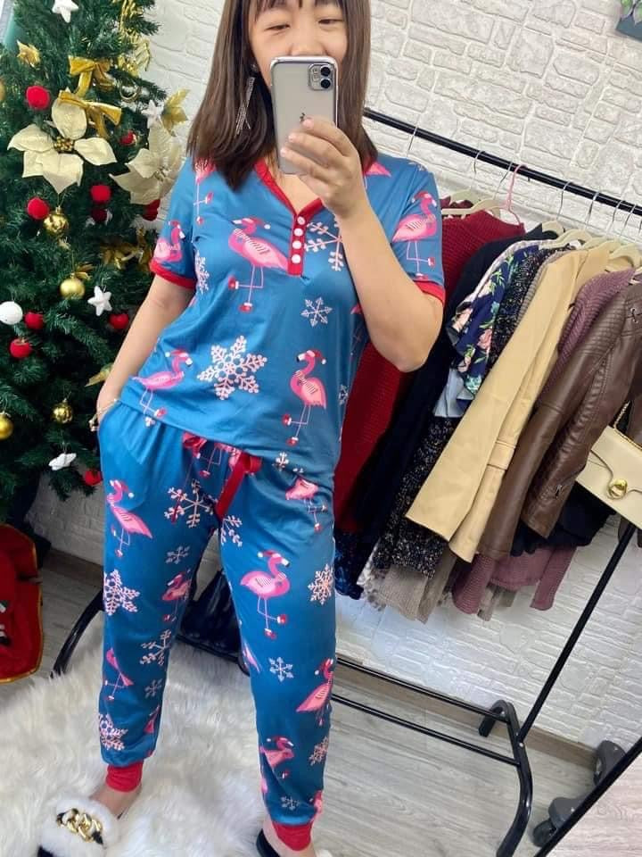 PJ Flamingo 2 piece set